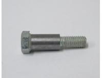 Image of Brake lever pivot bolt
