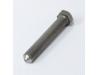 Image of Drive chain adjuster bolt
