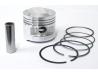 Image of Piston kit, Standard size