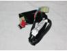 Accessory Quartet harness