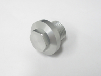 Image of Crankcase oil passage cap