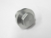 Image of Crankcase oil passage cap