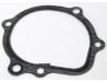 Water pump cover gasket