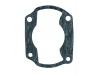 Cylinder base gasket