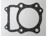 Cylinder base gasket