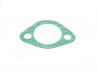 Cam chain tensioner hole gasket