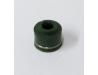 Valve stem seal oil seal for Inlet valves
