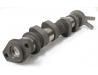 Image of Camshaft, Exhaust