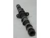 Image of Camshaft, Exhaust