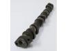 Image of Camshaft, Exhaust