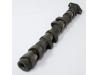 Camshaft, Exhaust