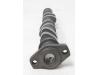 Image of Camshaft, Exhaust