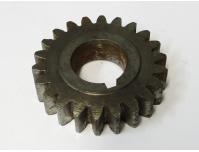Image of Timing gear