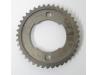 Camshaft sprocket