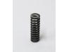 Image of Gearbox balancer gear spring