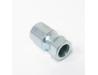 Cam chain tensioner setting bolt nut