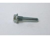 Image of Cam chain tensioner blade pivot bolt