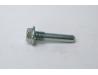 Cam chain tensioner blade bolt