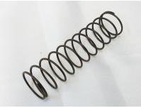 Image of Cam chain tensioner push rod spring