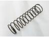 Cam chain tensioner push rod spring
