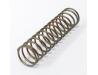 Cam chain tensioner push rod spring