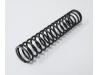 Cam chain tensioner push rod spring