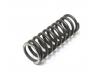 Cam chain tensioner push rod spring, Outer