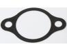 Cam chain tensioner gasket