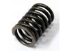 Valve spring, Outer