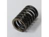 Valve spring, outer