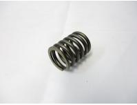 Image of Valve spring, Uuter