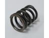 Image of Valve spring, Outer
