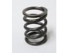 Image of Valve spring, Outer