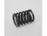 Valve spring, Outer