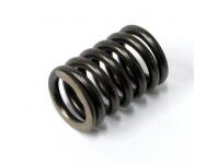 Image of Valve spring, Outer