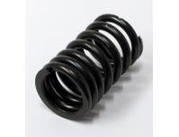 Image of Valve spring, Outer