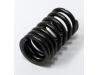 Valve spring, Outer