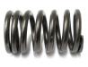 Image of Valve spring, outer