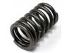 Valve spring, outer