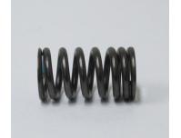 Image of Valve spring, Outer