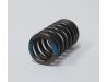 Image of Valve spring, Outer