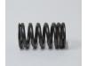 Valve spring, Outer