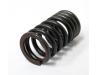 Image of Valve spring, Outer