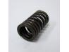 Image of Valve spring, Outer