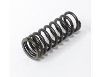 Image of Valve spring, Inner