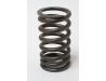 Image of Valve spring, Inner