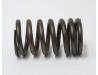 Valve spring, Inner