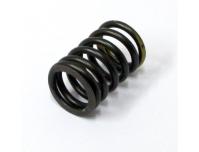 Image of Valve spring, Outer