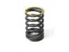 Image of Valve spring, Outer