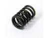 Image of Valve spring, Outer